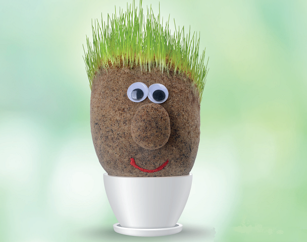 Hoe je een growth mindset tot leven brengt