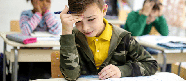 Naar een formatief leerklimaat in de hele school